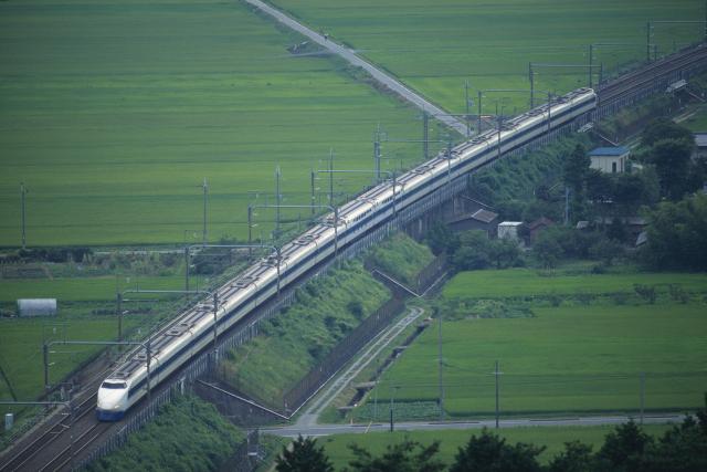 Japan: Ni zmija u brzom vozu nije izazvala kašnjenje
